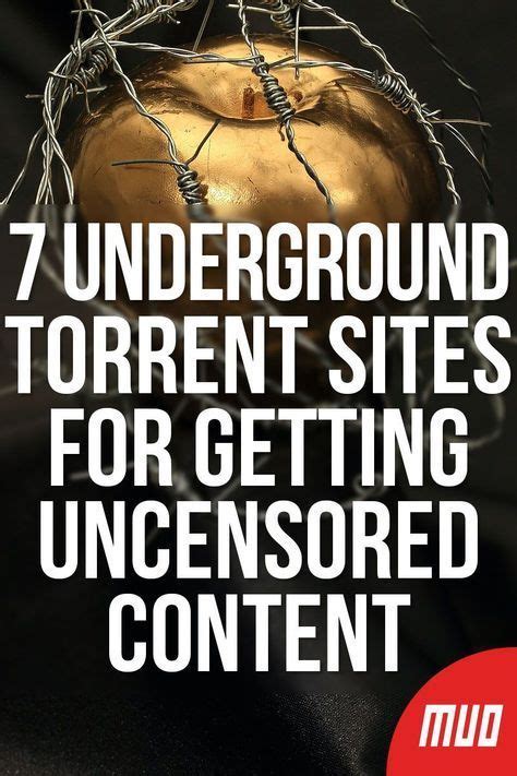 porn torrent search engine|6 Underground Torrent Sites for Getting Uncensored Content